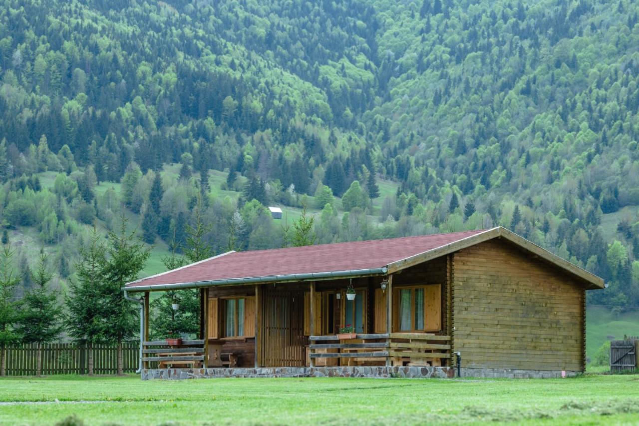 Biotour Camping & Restaurant Ghimeş-Făget 외부 사진
